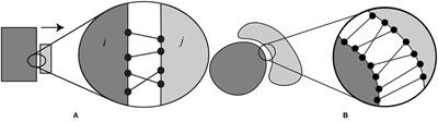 Modeling Electrostatic Force in Protein-Protein Recognition